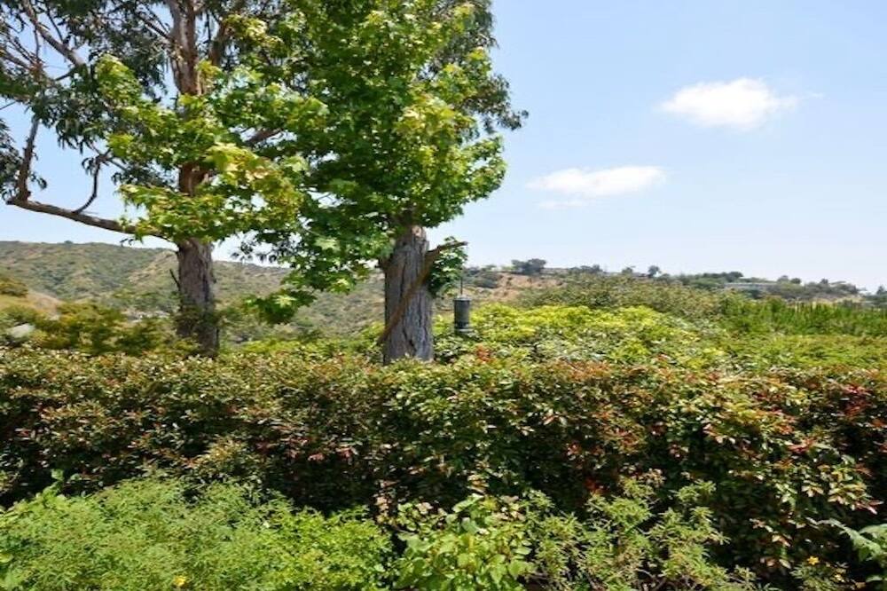 Photo of Others in Beverly Glen