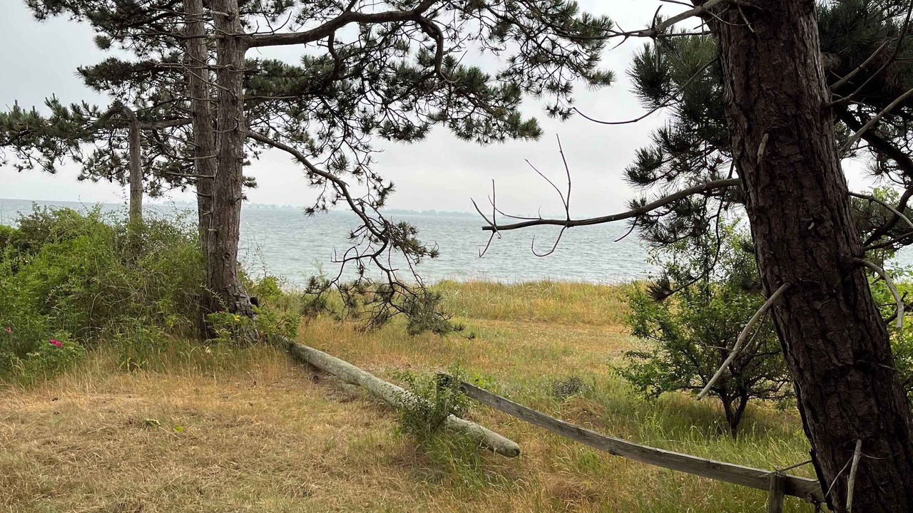 Photo of Outdoor in Maribo