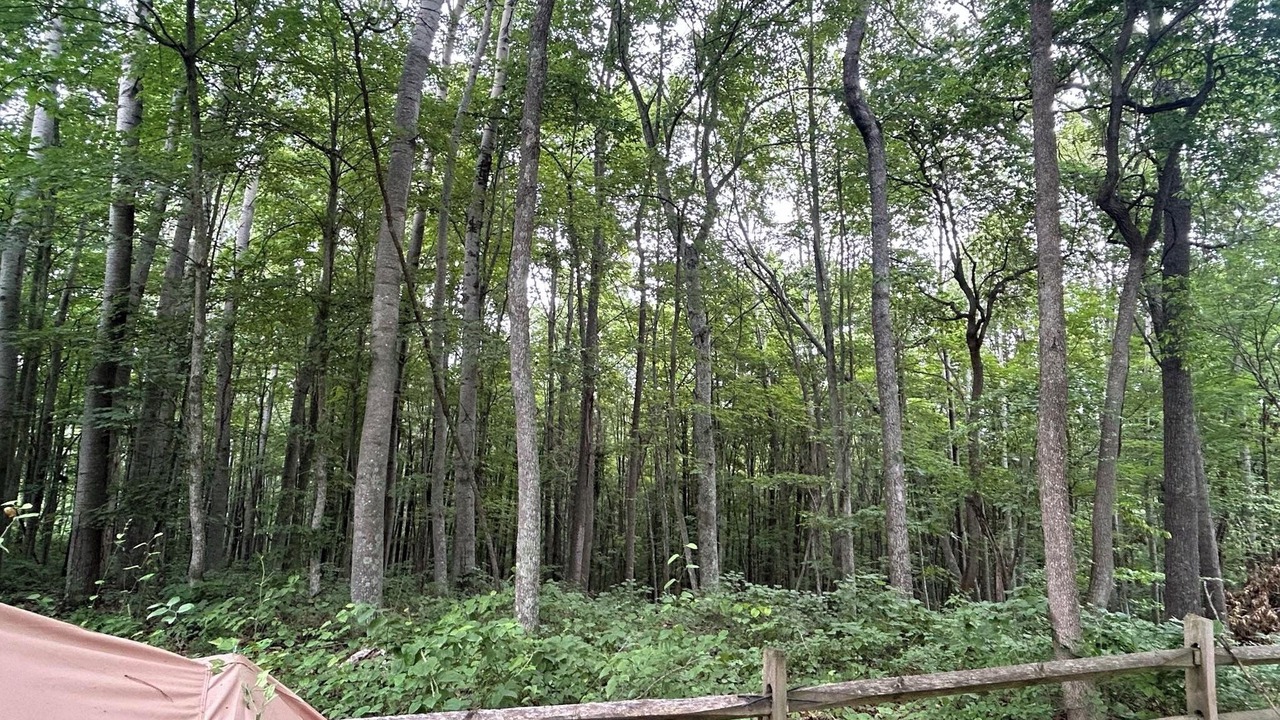 Photo of Outdoor in Ray