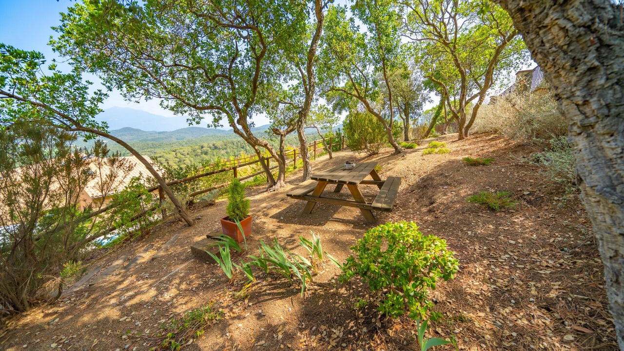 Photo of Outdoor in Collsacreu
