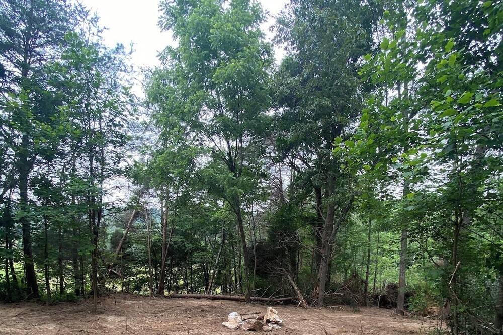Photo of Outdoor in Horse Cave