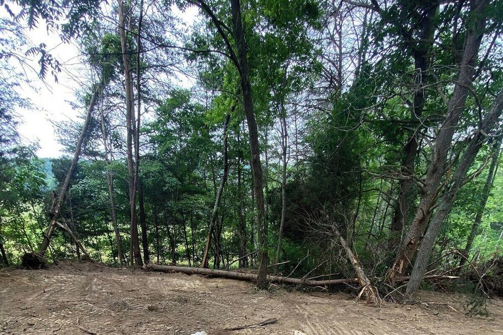 Photo of Outdoor in Horse Cave