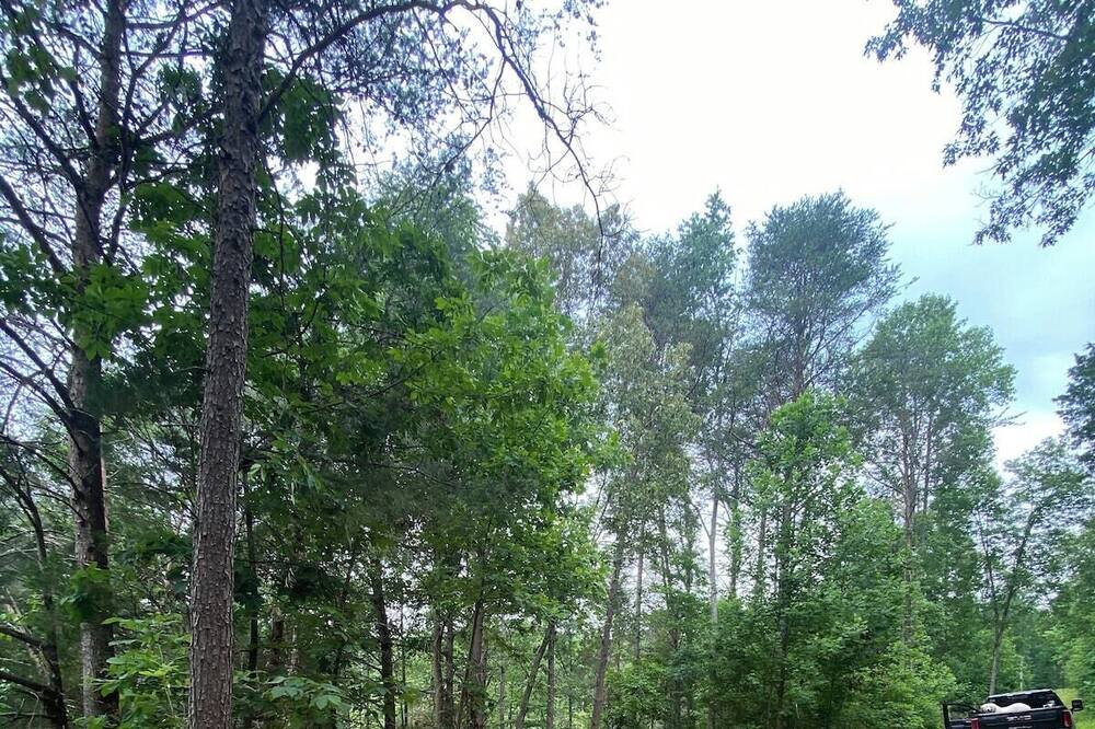 Photo of Outdoor in Horse Cave