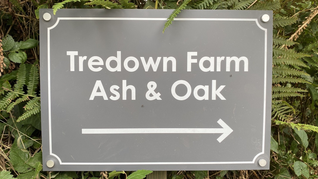 Photo of Others in Saltash