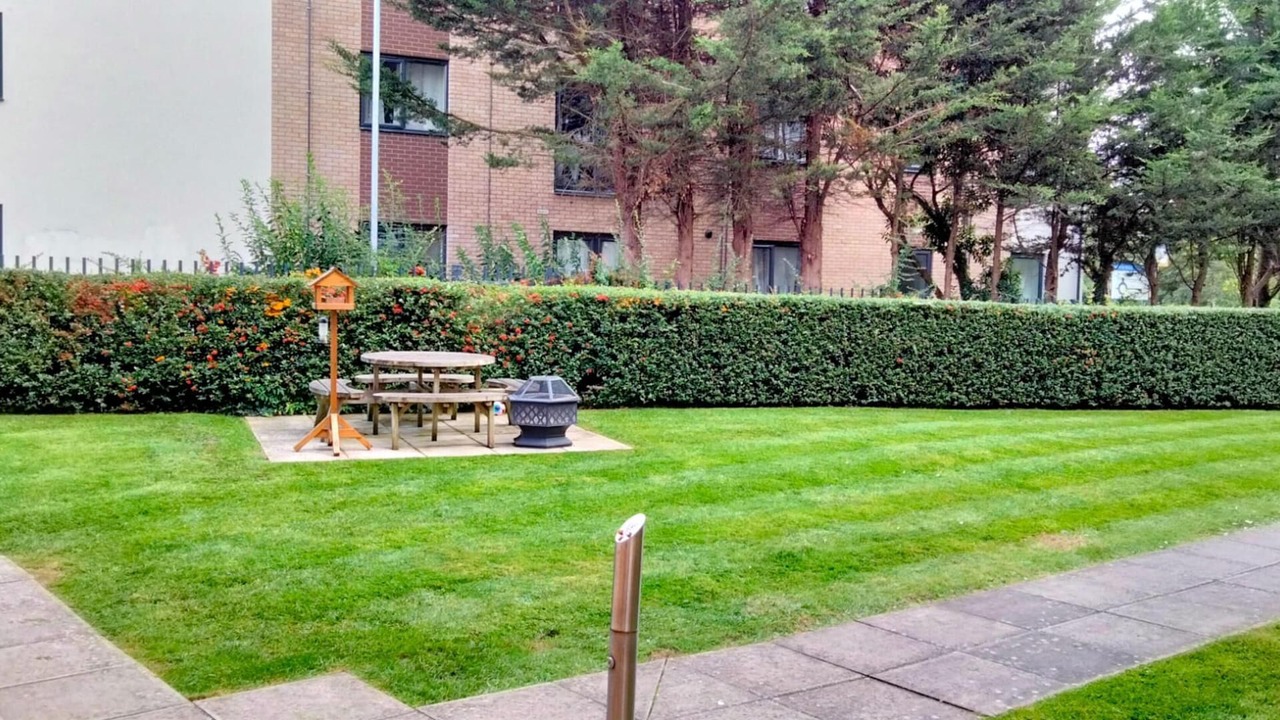 Photo of Others in Rugby