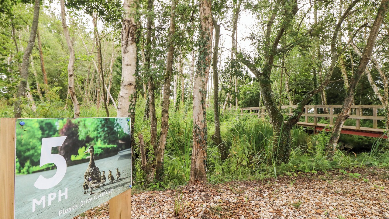 Photo of Outdoor in Woodfalls