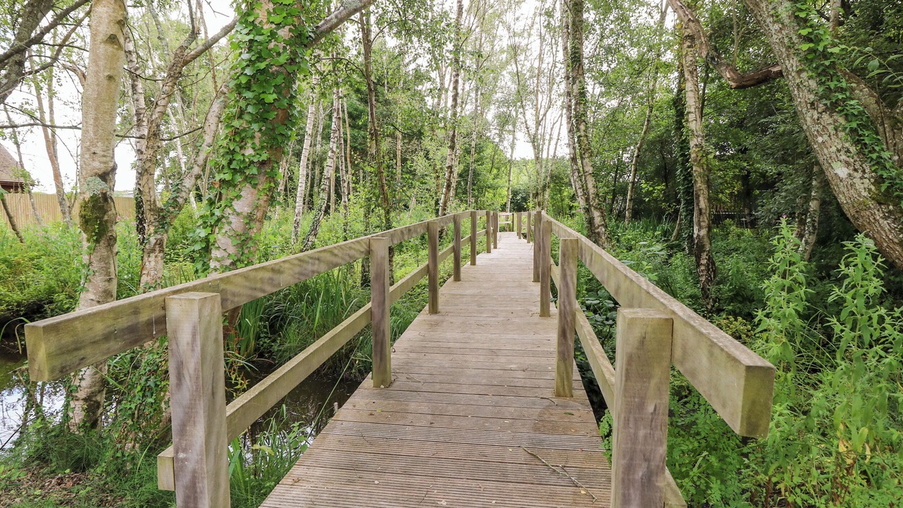 Photo of Outdoor in Woodfalls