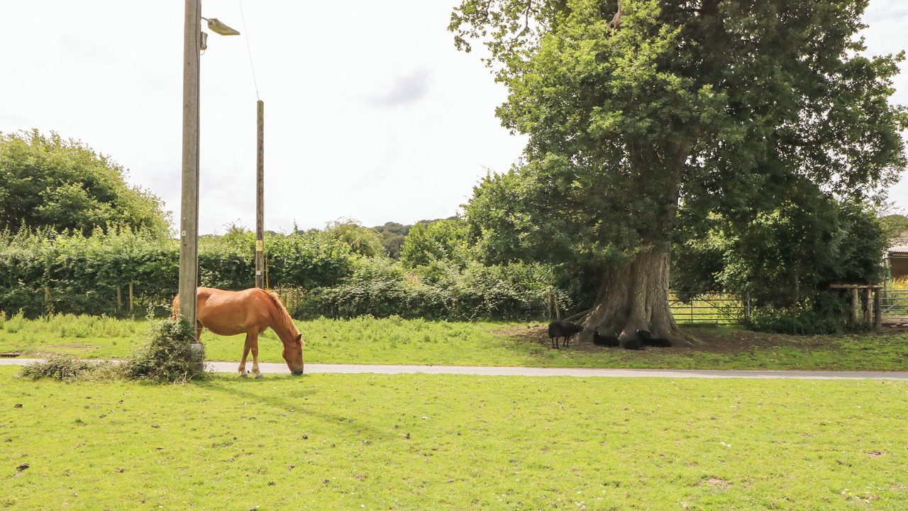 Photo of Others in Woodfalls