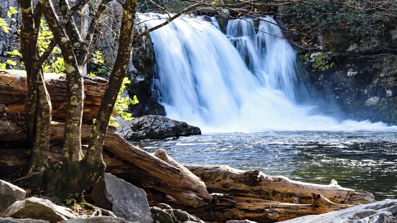 Photo of Others in Pigeon Forge