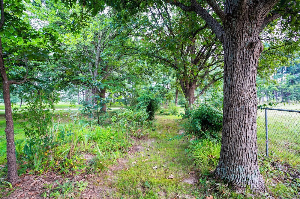 Photo of Outdoor in Lincoln
