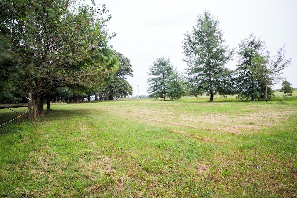 Photo of Outdoor in Lincoln