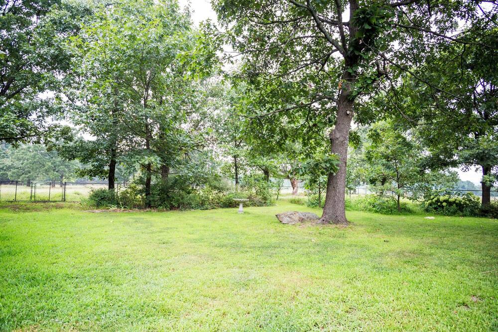 Photo of Outdoor in Lincoln