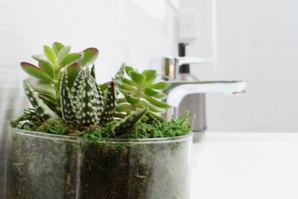 Photo of Others in Mapleton