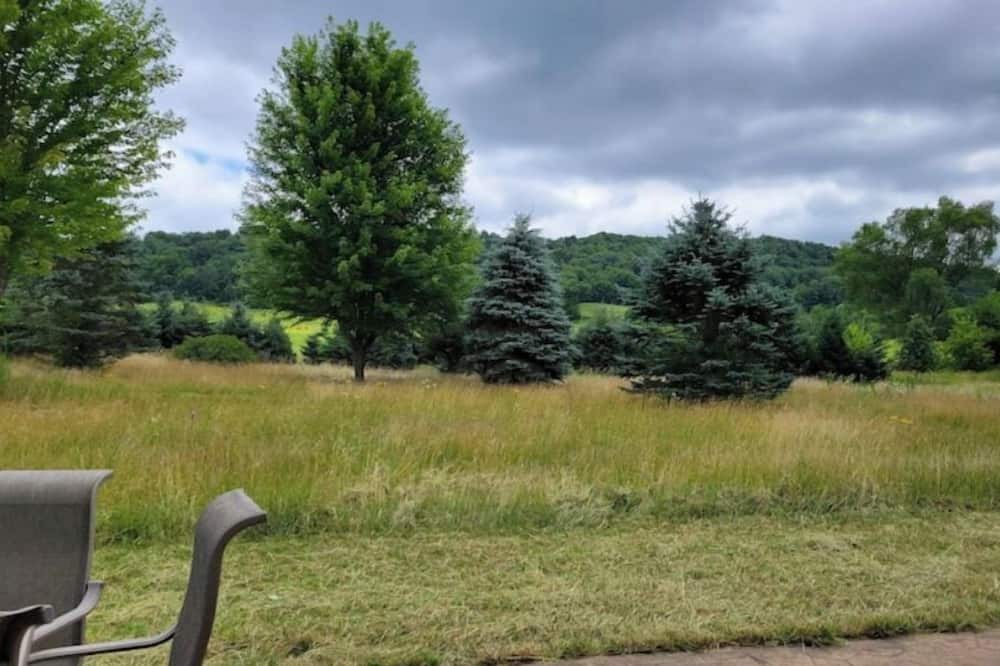 Photo of Outdoor in Boscobel