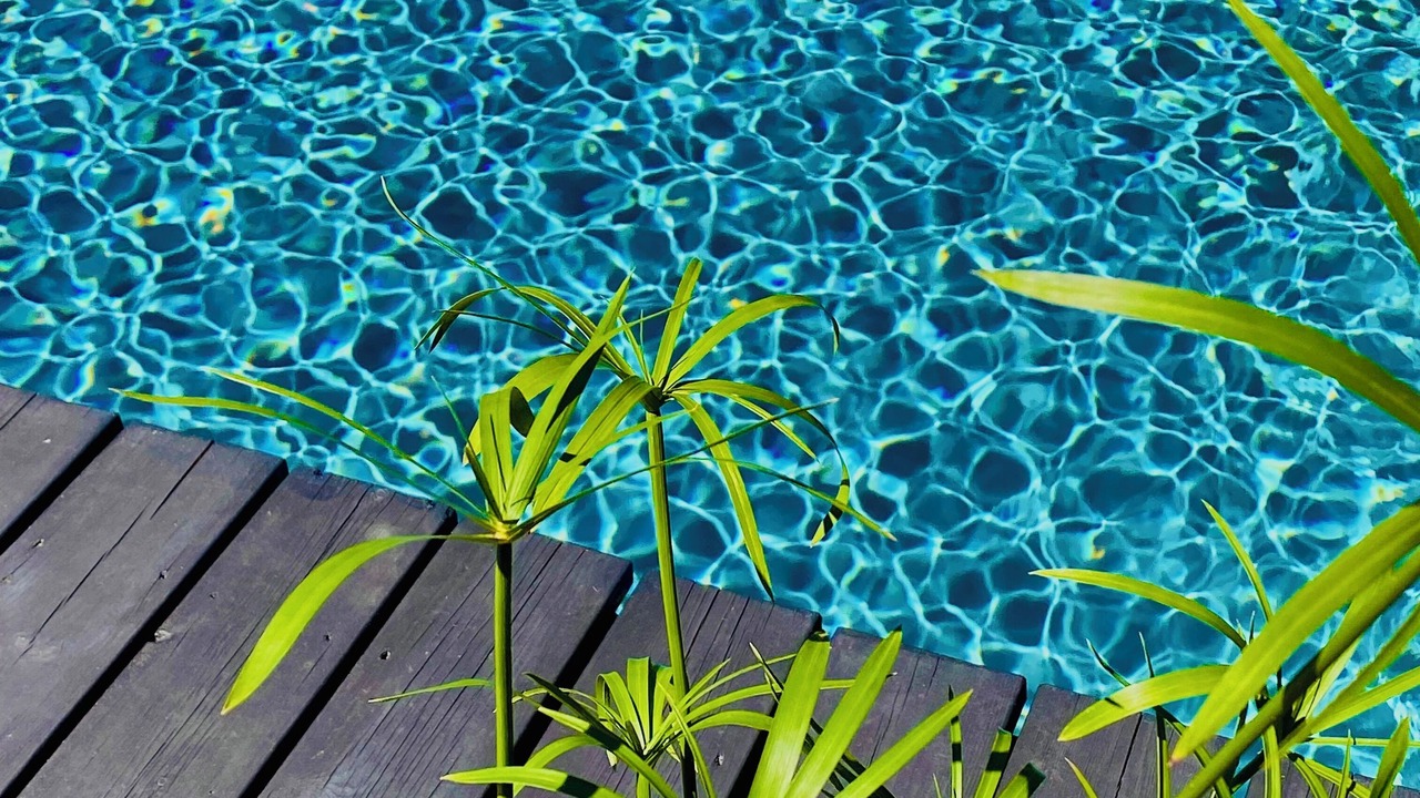 Photo of Outdoor in Frontenac