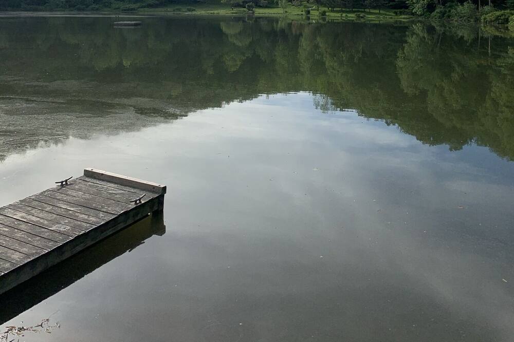 Photo of Others in East Branch