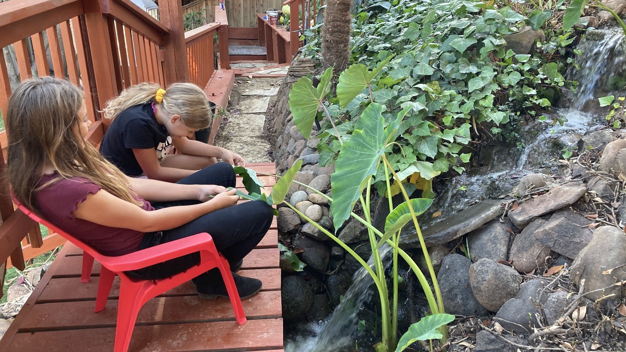 Photo of Outdoor in Benicia