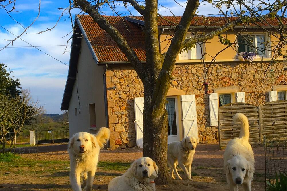 Photo of Outdoor in Le Breuil