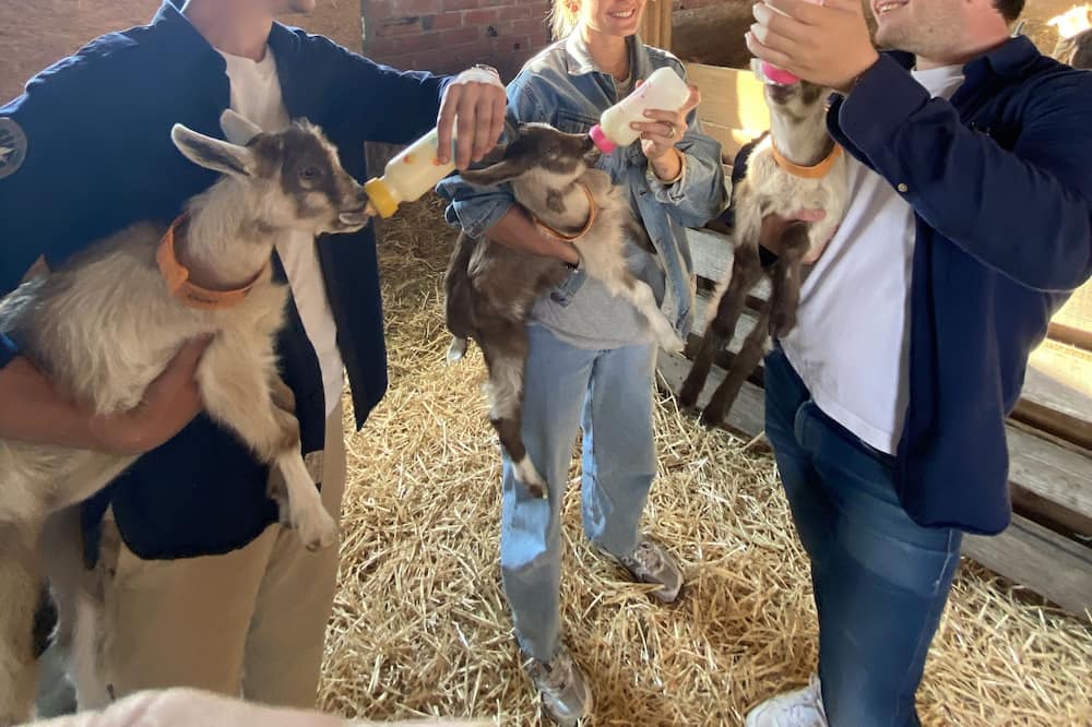 Photo of Others in Le Breuil