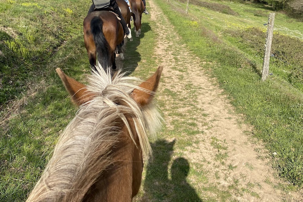 Photo of Outdoor in Le Breuil