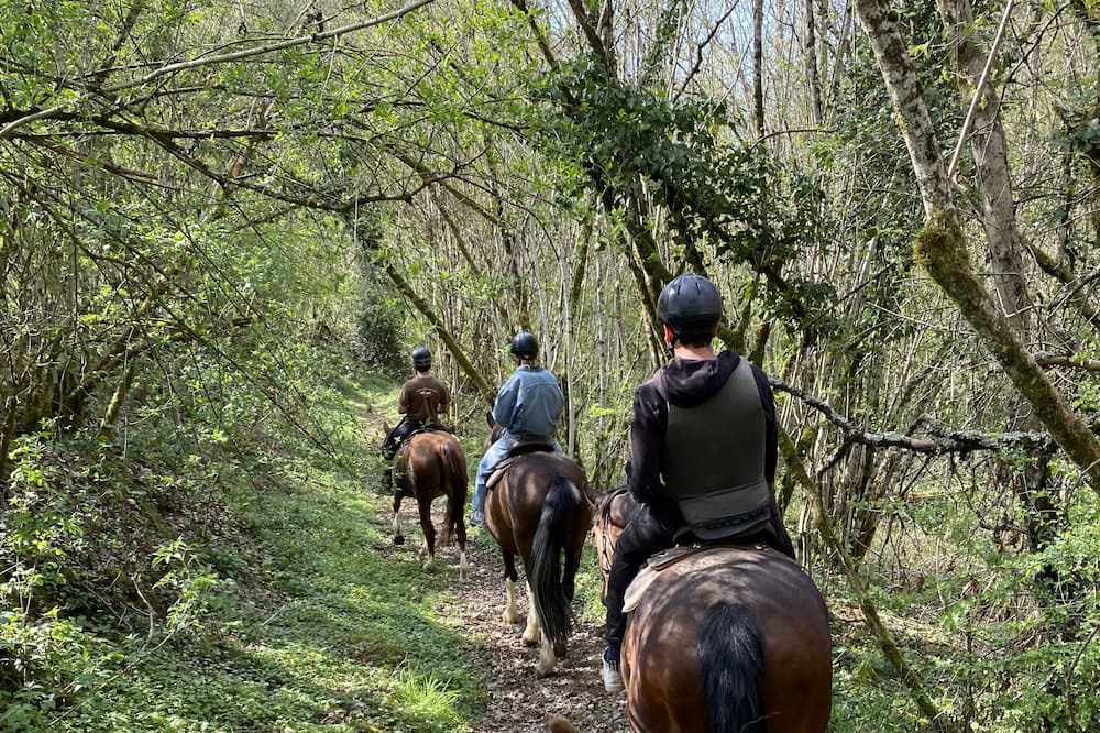 Photo of Outdoor in Le Breuil