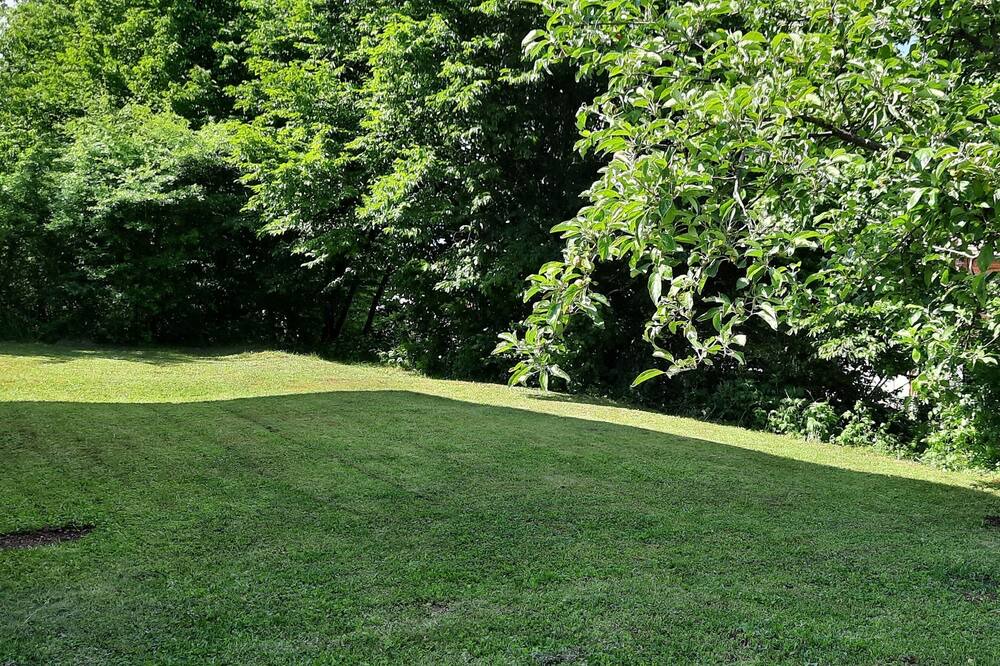 Photo of Outdoor in Grabovac