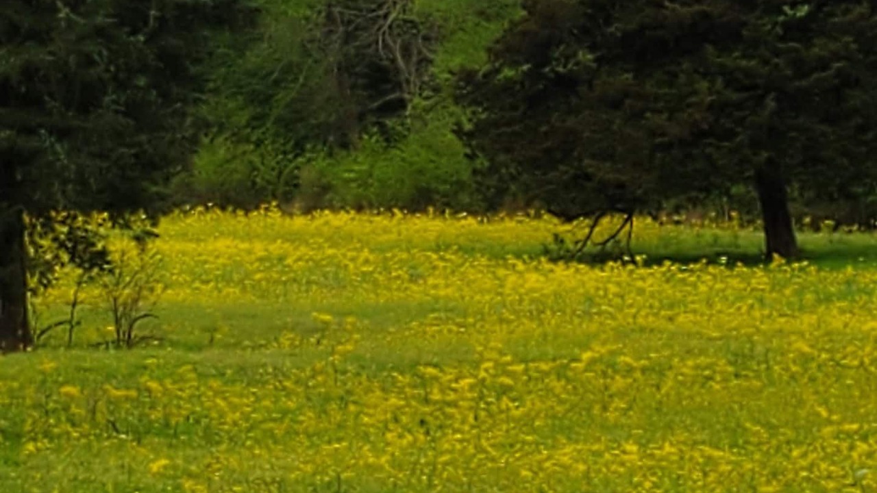 Photo of Others in Big Sandy