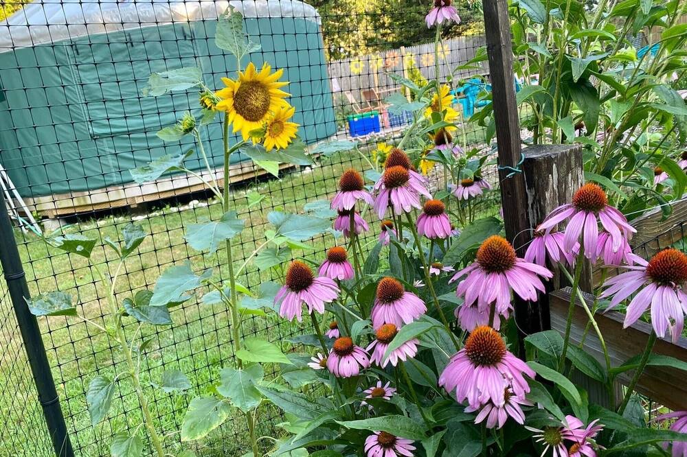 Photo of Outdoor in Westhampton