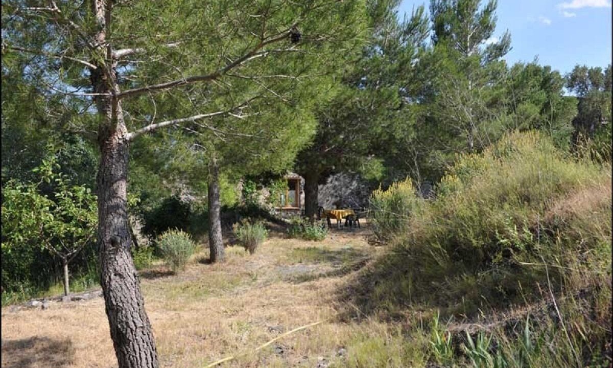Photo of Outdoor in Calce