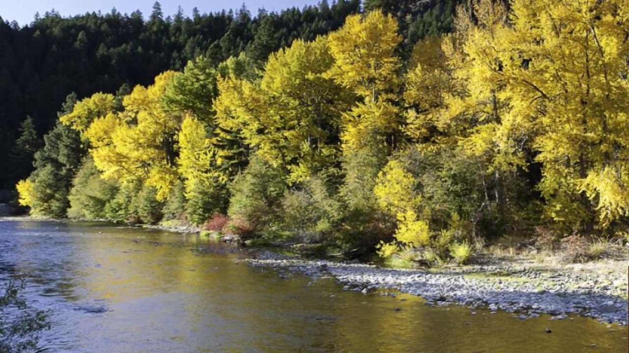 Photo of Outdoor in Naches