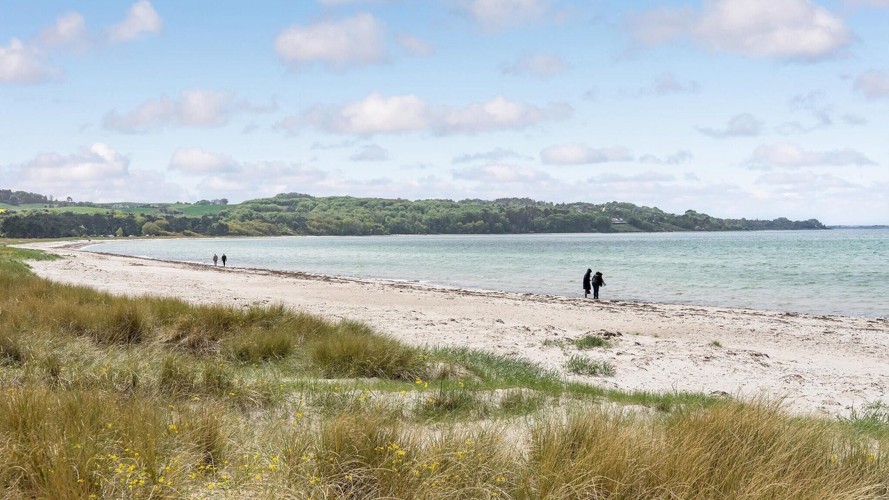 Photo of Others in Hoeve Strand