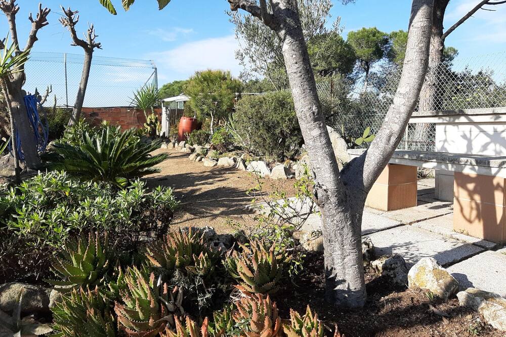Photo of Outdoor in Sant Fost de Campsentelles
