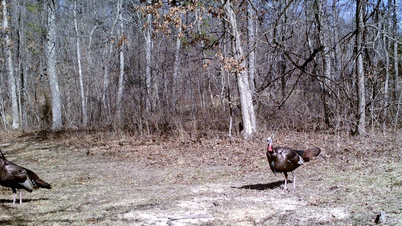 Photo of Outdoor in Bunker