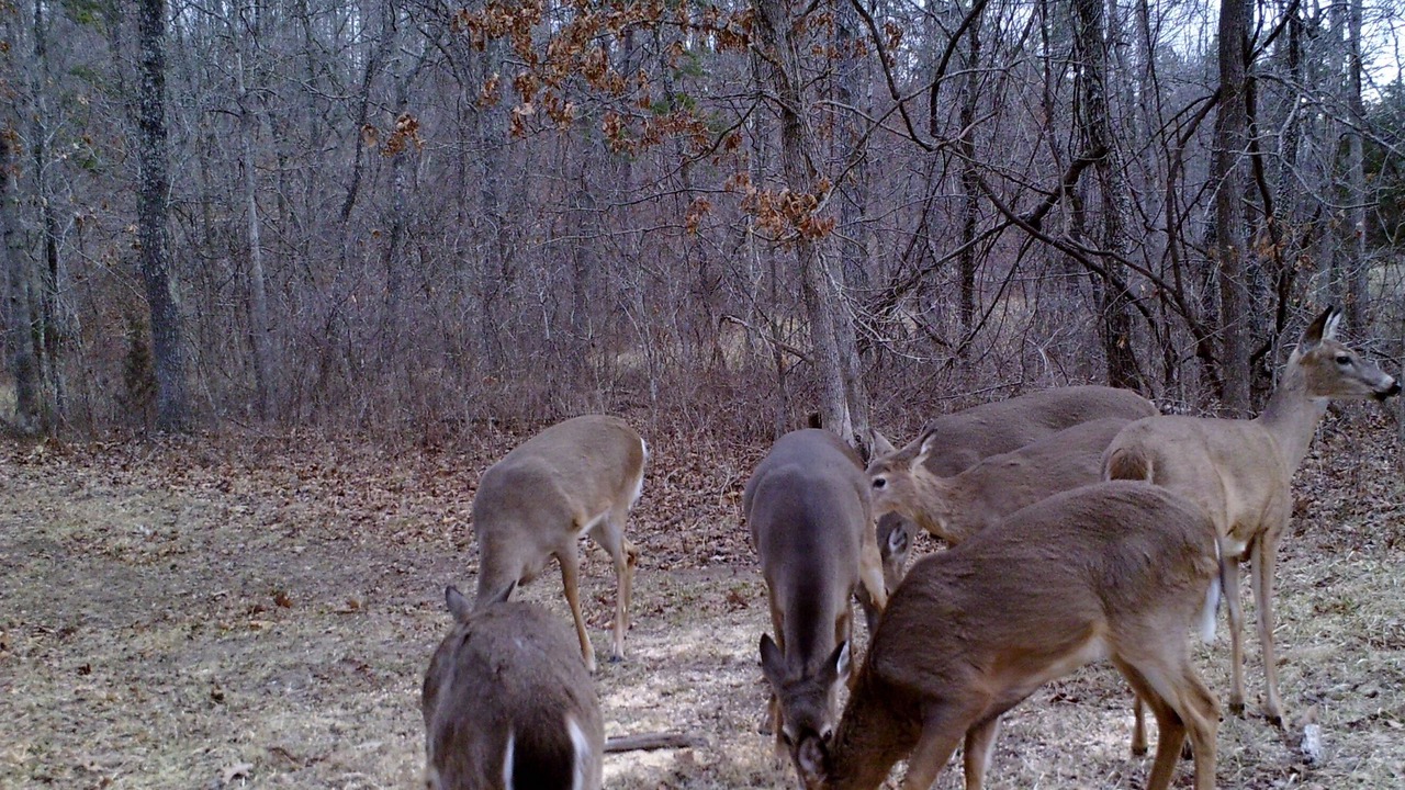 Photo of Outdoor in Bunker