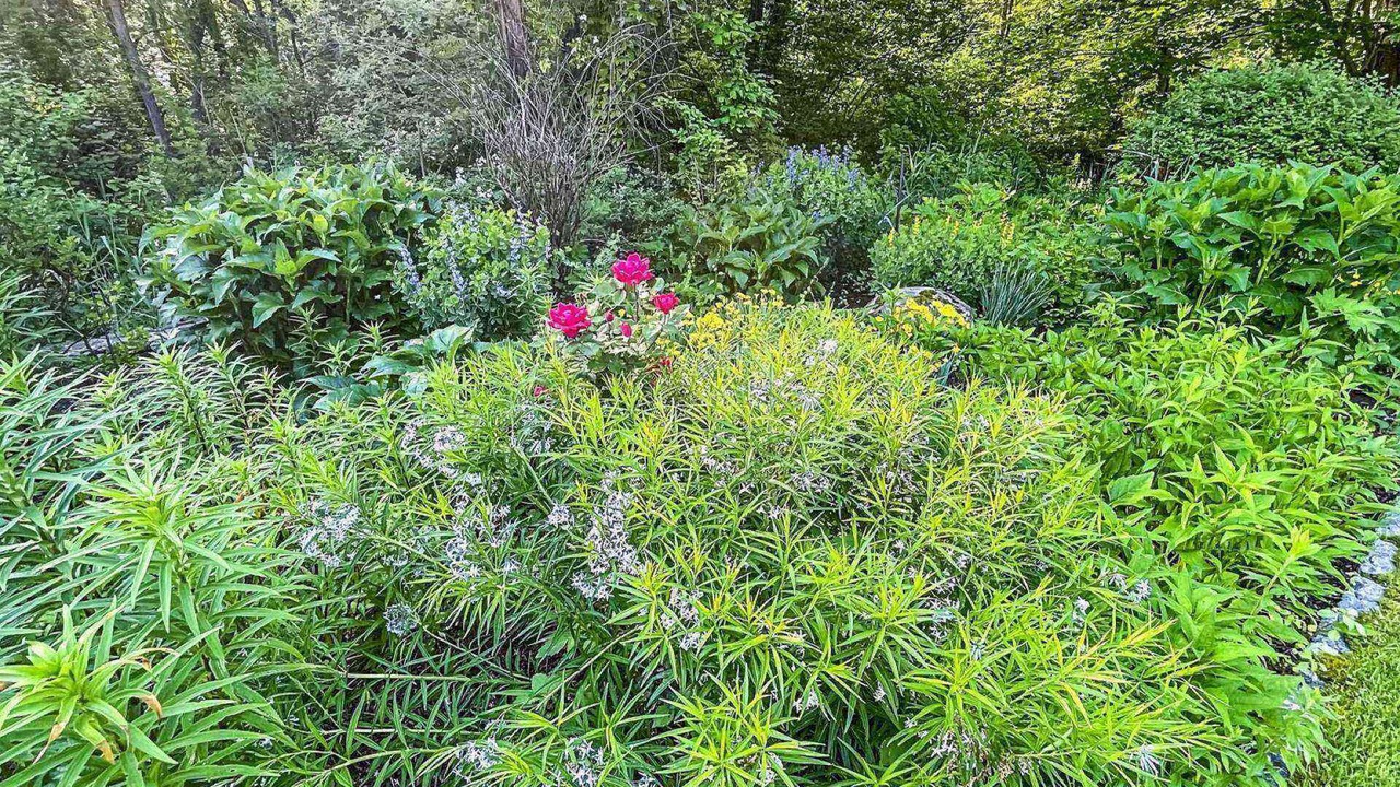 Photo of Outdoor in Redding Ridge