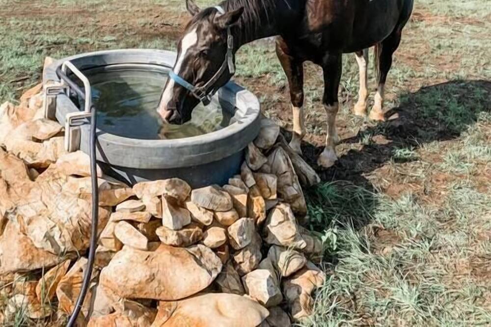 Photo of Others in Marble Falls