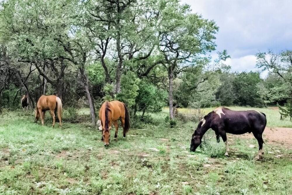 Photo of Outdoor in Marble Falls