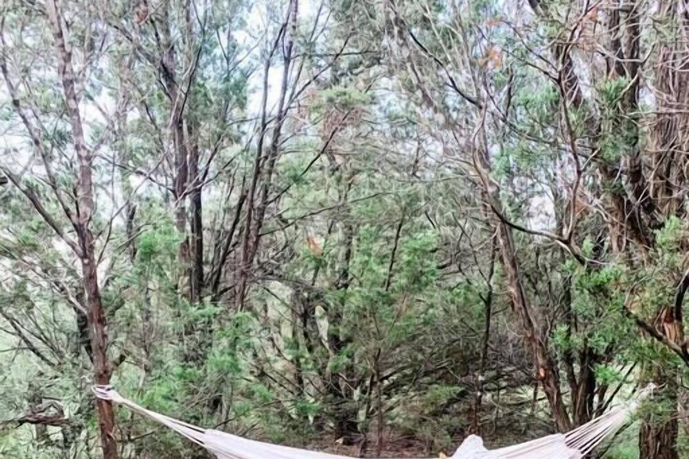 Photo of Outdoor in Marble Falls