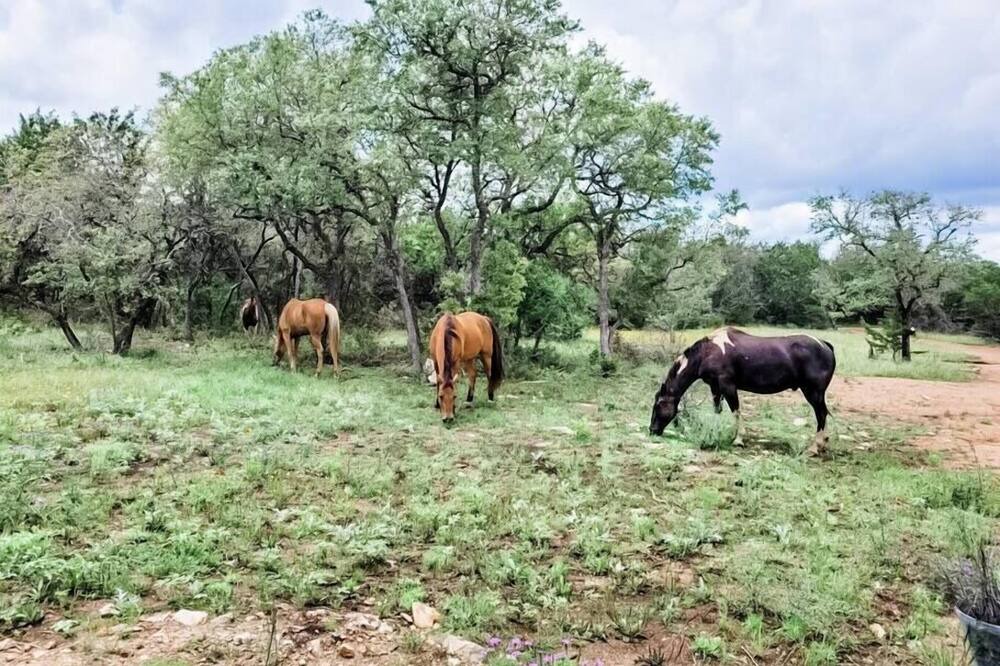 Photo of Outdoor in Marble Falls