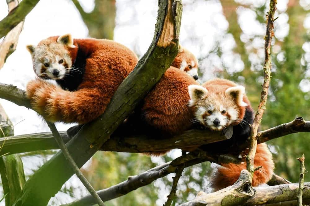 Photo of Outdoor in Sierville