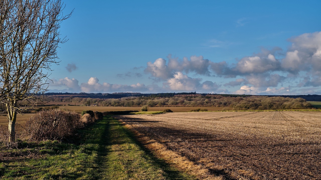 Photo of Others in East Woodyates