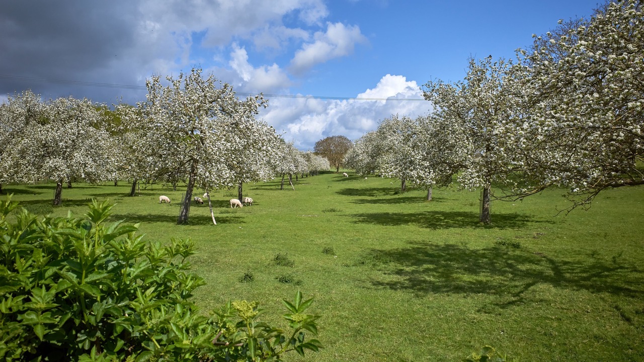Photo of Others in East Woodyates