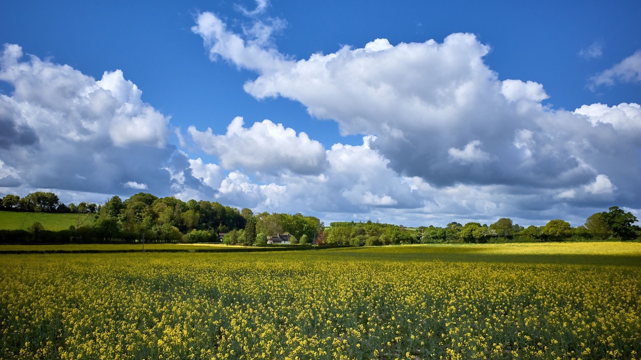 Photo of Others in East Woodyates