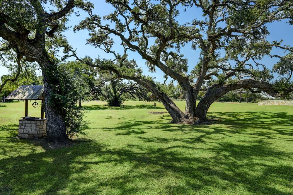 Photo of Outdoor in Round Top