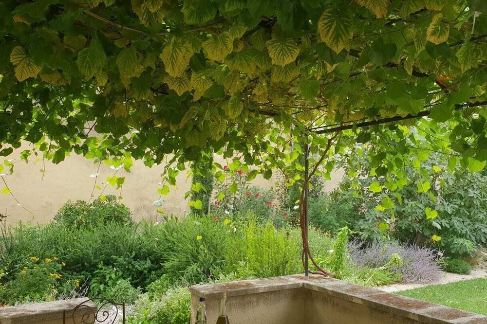 Photo of Outdoor in Caderousse