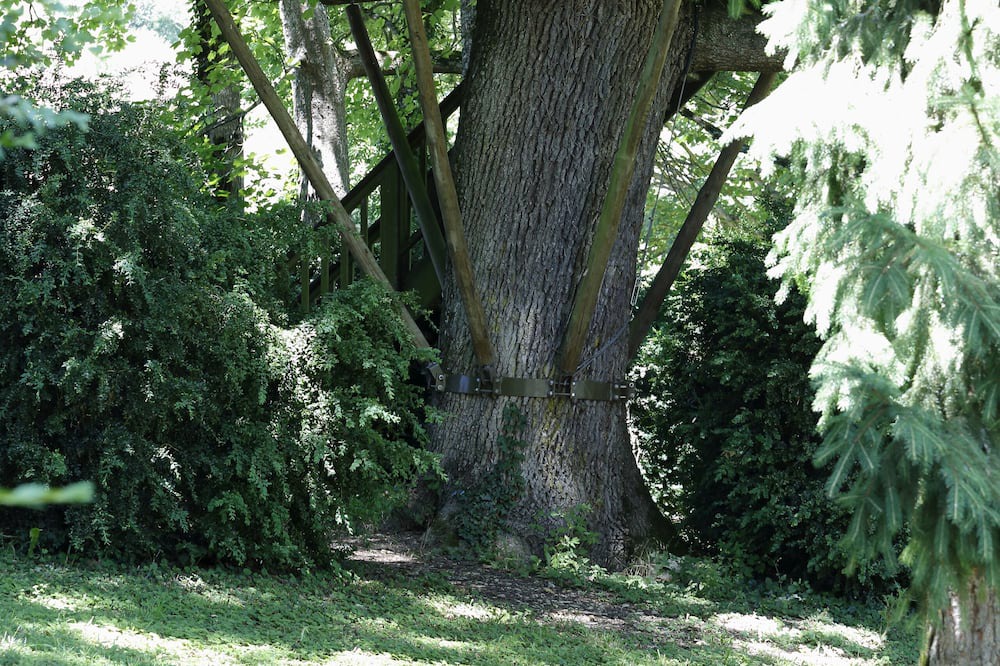 Photo of Outdoor in Auxey-Duresses