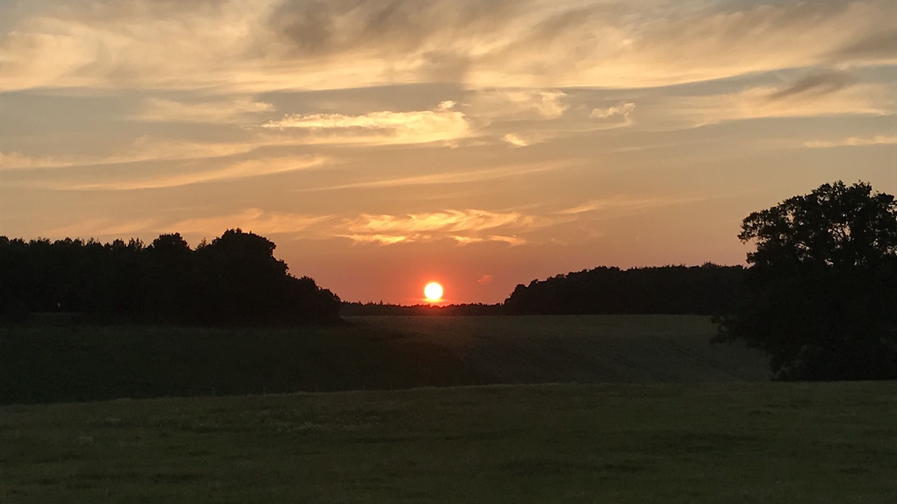 Photo of Others in Cole Green