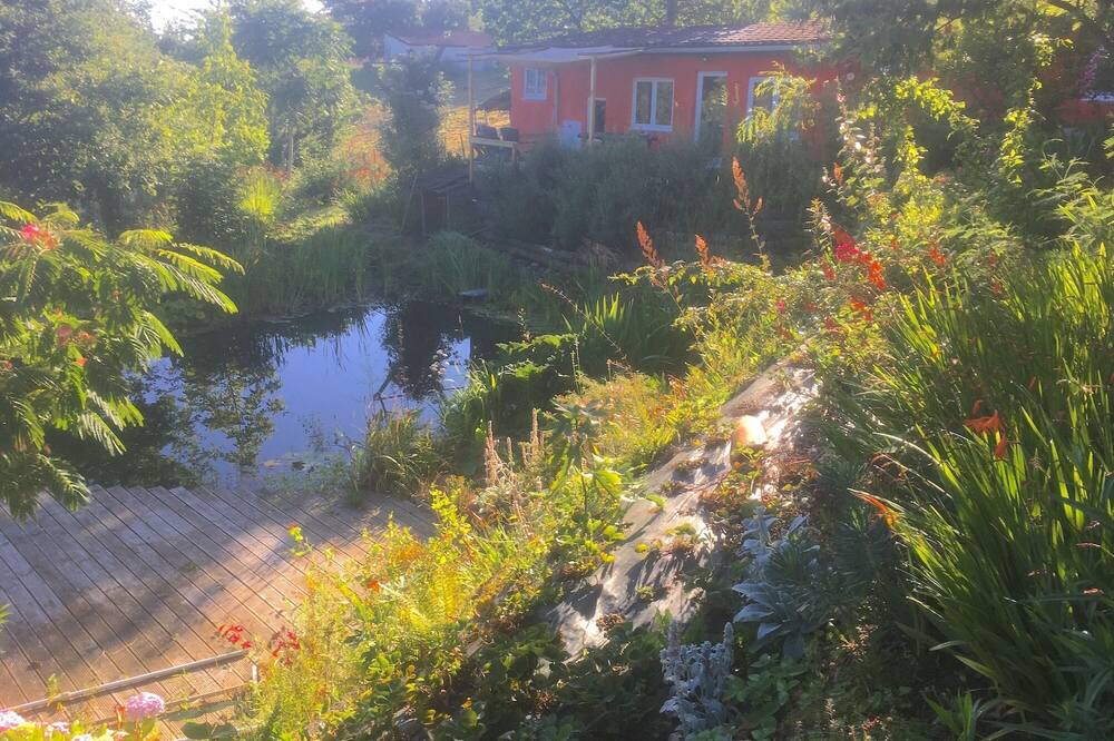Photo of Outdoor in Saint-Boes