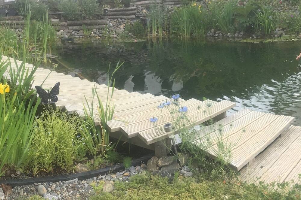 Photo of Outdoor in Saint-Boes