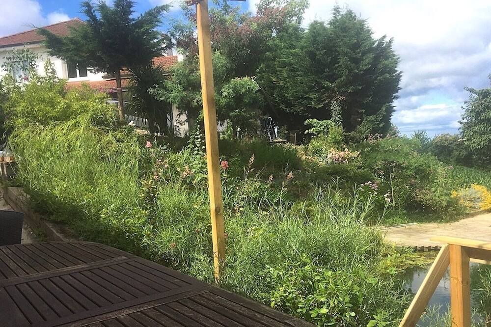 Photo of Outdoor in Saint-Boes